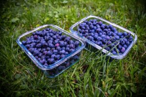 Is Berberine Good For Weight Loss?