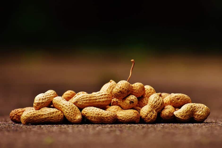 peanuts weight loss