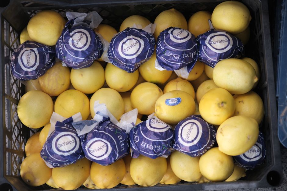 a lemon a day for