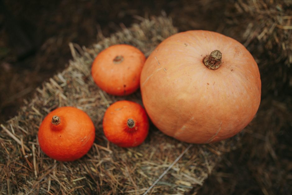 are pumpkins good for weight