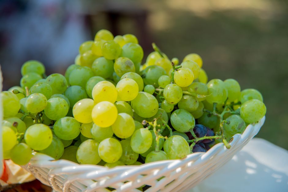 are white grapes good for