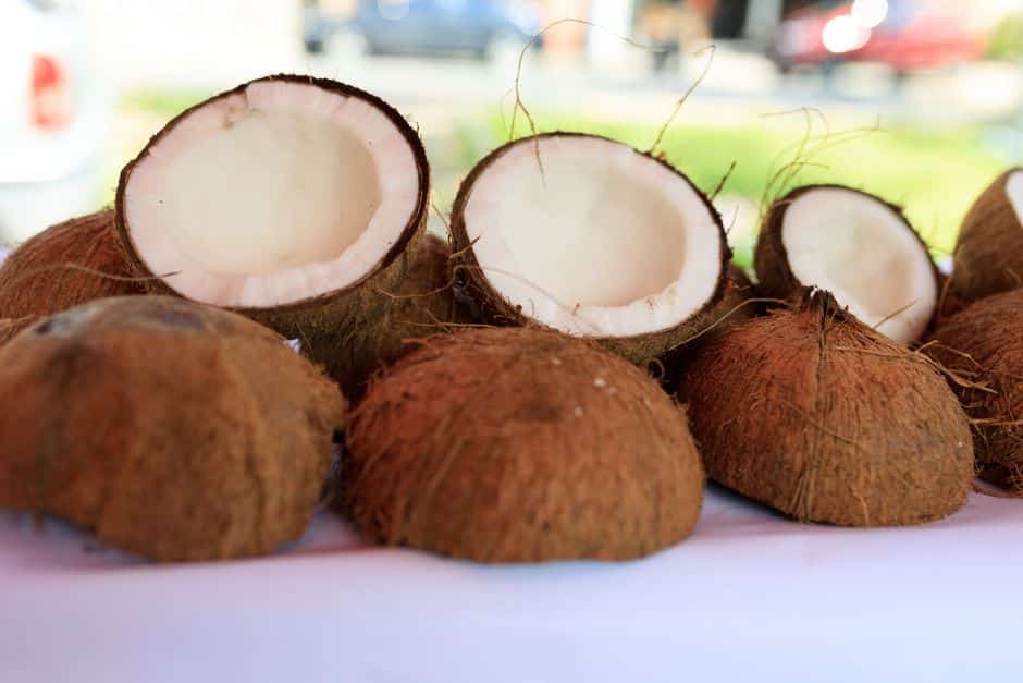 how much coconut milk per