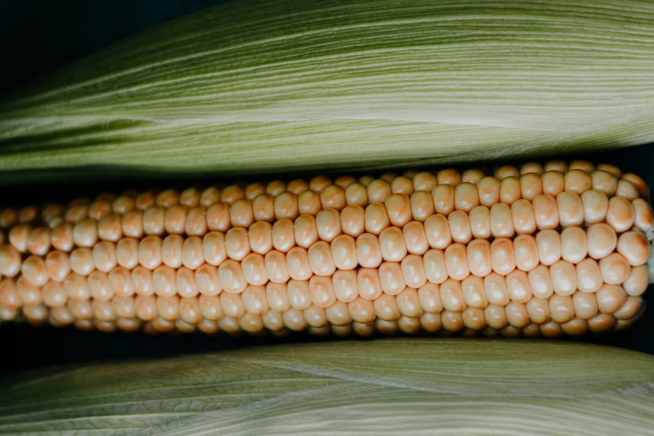 is maize good for weight