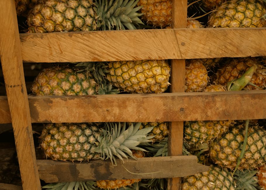 is pineapple tea good for
