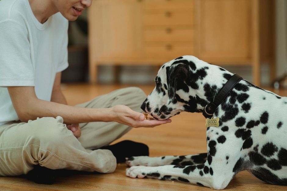 what is sit training for