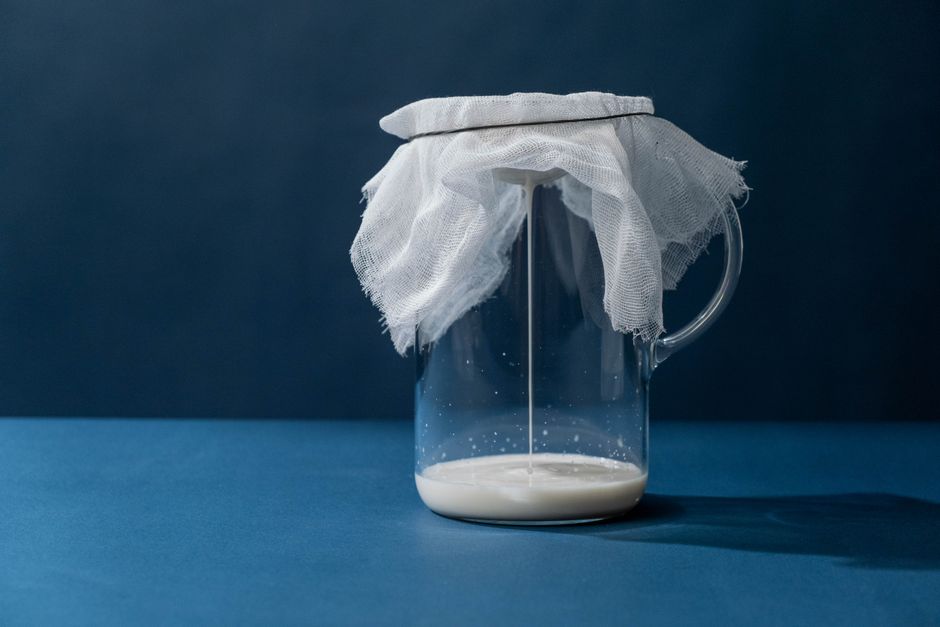 which strain of probiotics is
