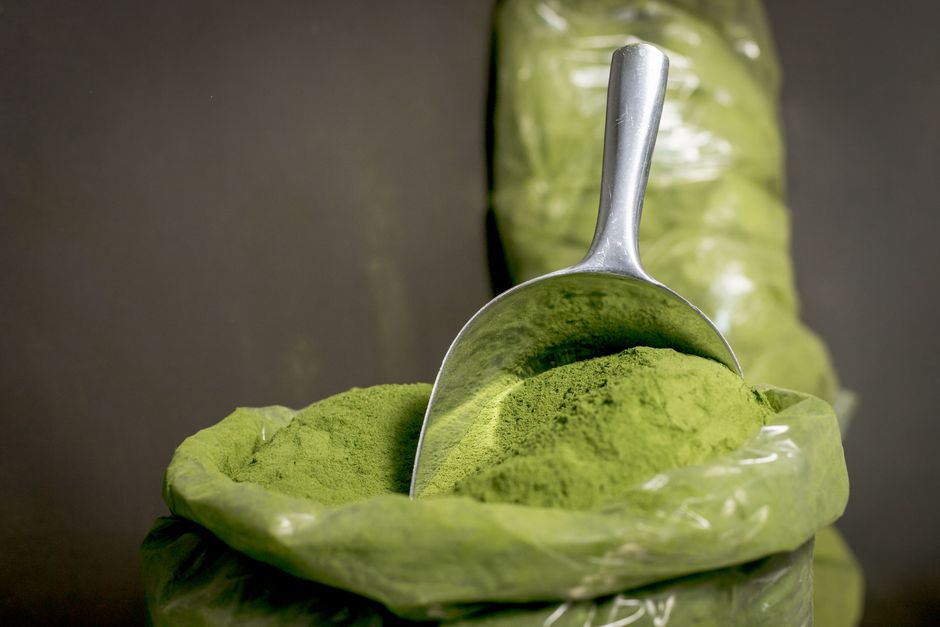 does moringa really work for