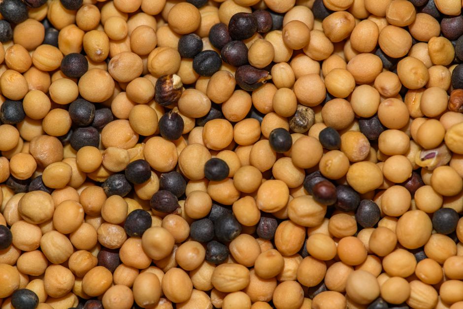 how to eat mustard seeds