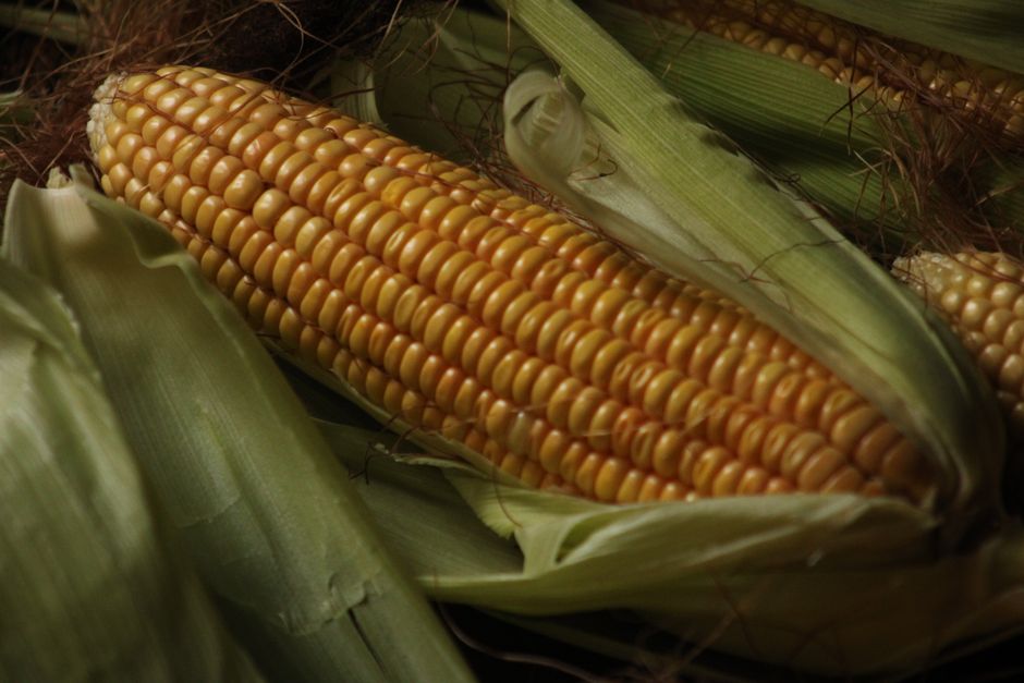 how to make corn silk