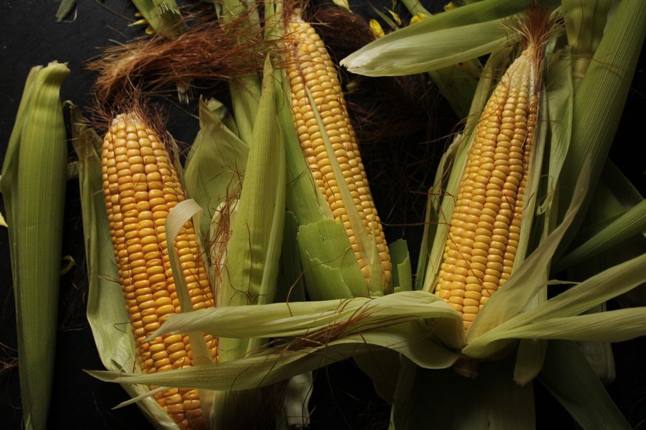 how to prepare corn silk