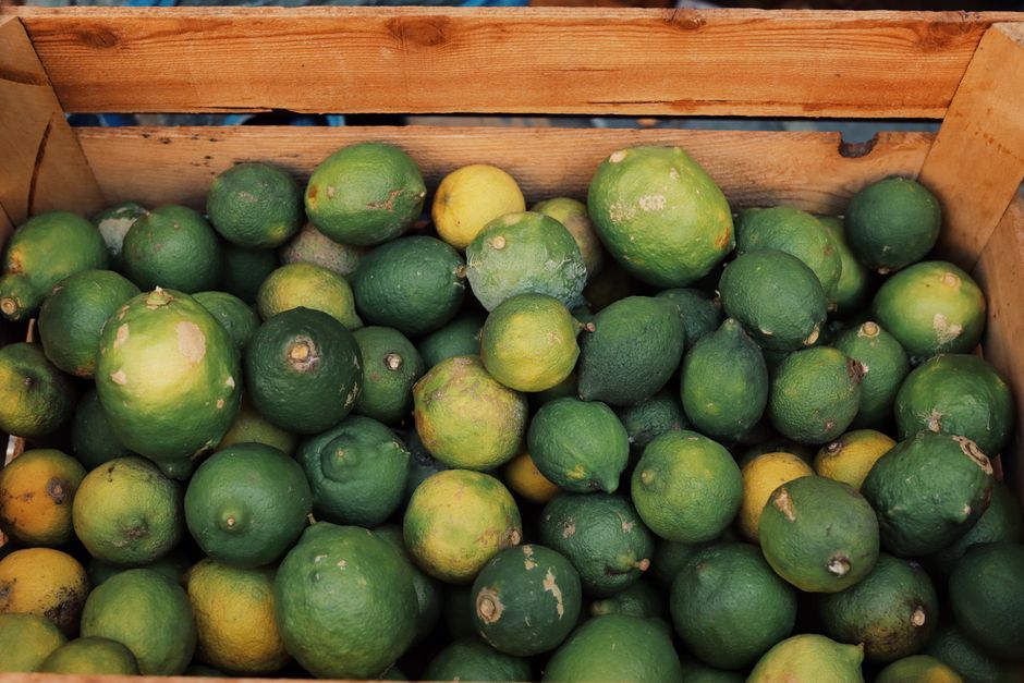 is citrus fruit good for