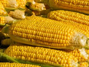 is cornstarch good for weight