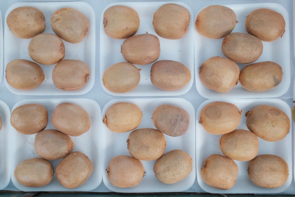is golden kiwi good for