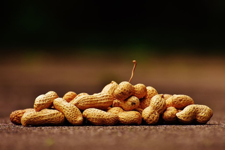 is groundnut good for weight