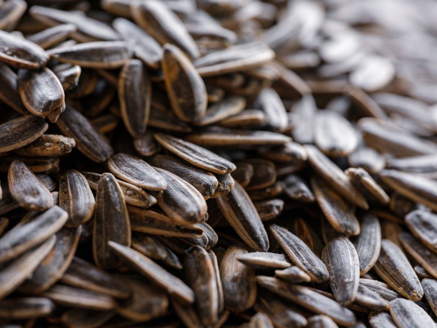 is magnesium good for weight