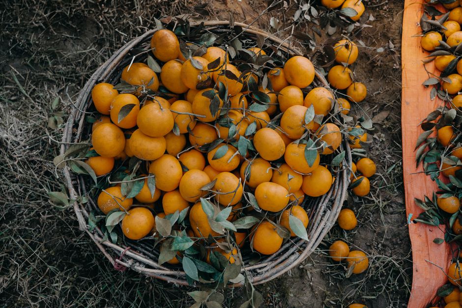is orange good for weight