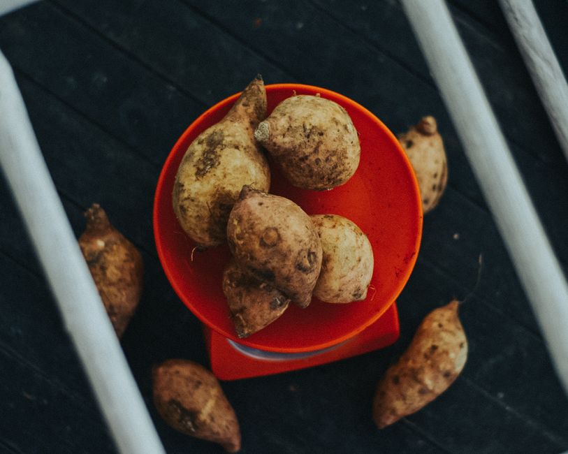 is sweet potato good for