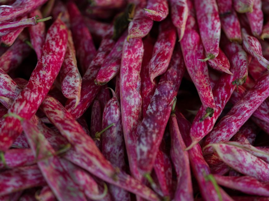 is white kidney beans good