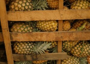 what does pineapple do for