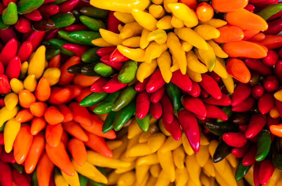 what is the best capsaicin