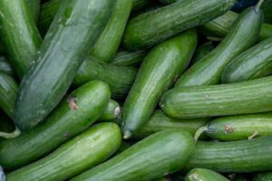 when to eat cucumber for
