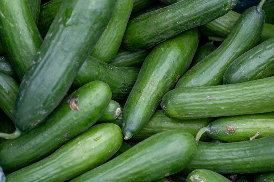 when to eat cucumber for