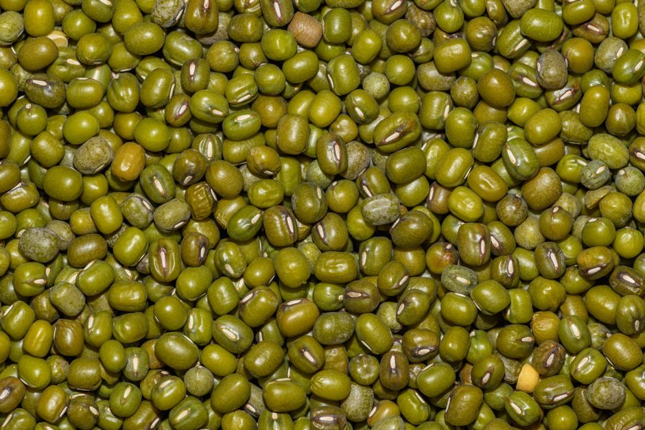 which beans are good for