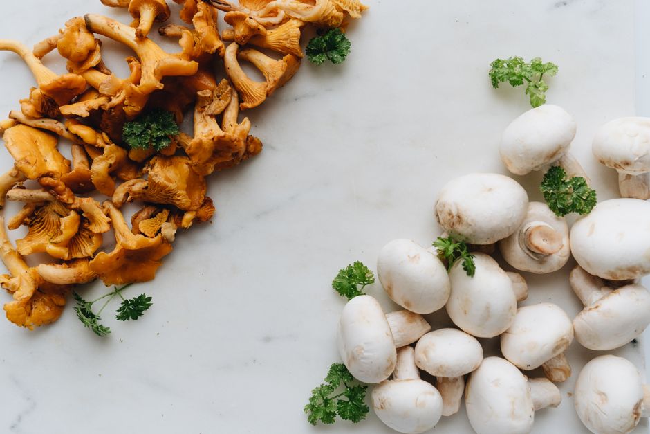 which mushrooms are good for
